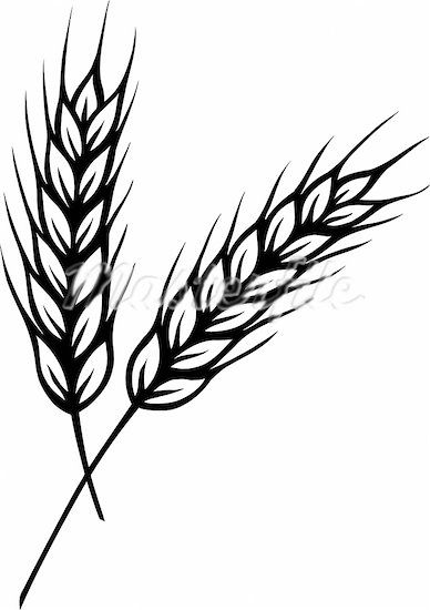 Grains Clipart Black And Whit