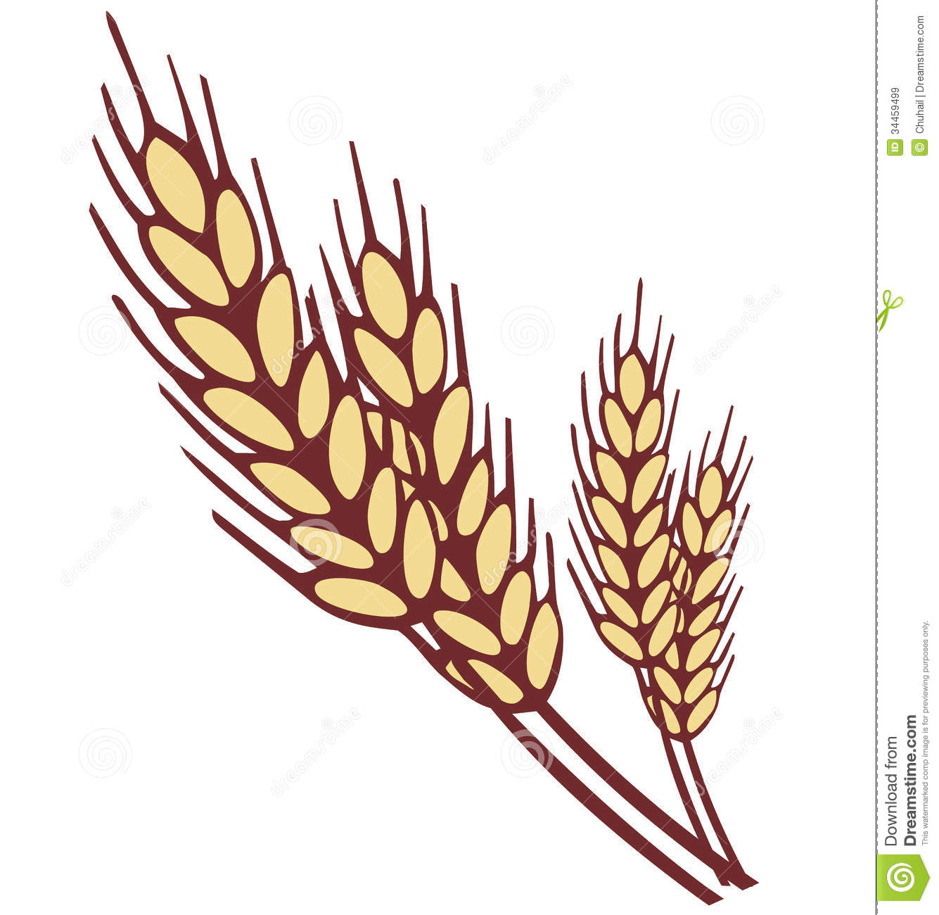 Clipart wheat stalk - Clipart