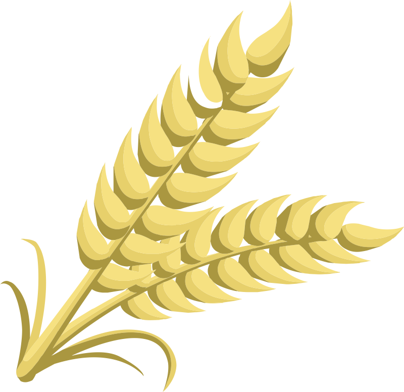 Wheat Clipart #1