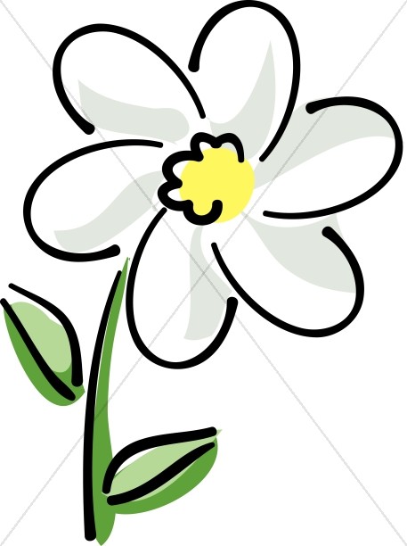 White Daisy 1 Clip Art At Clk
