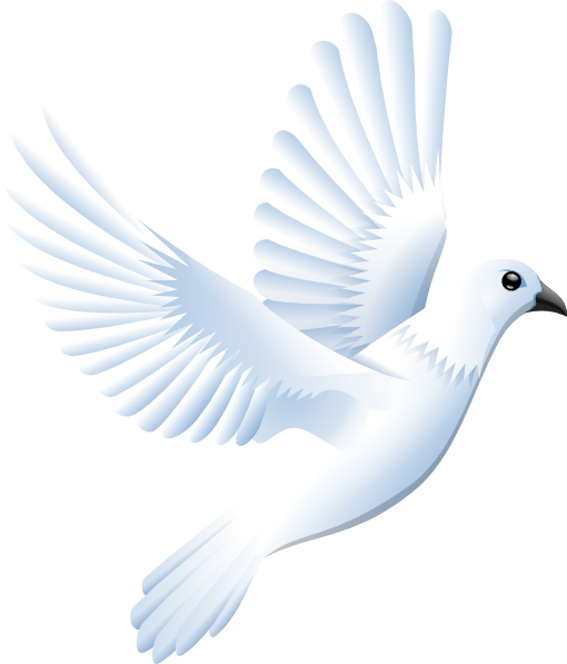 Winged White Dove Clipart Ima