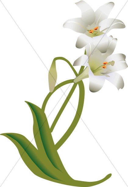 White Easter Lily Decoration - Easter Lily Clip Art