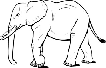 elephant clipart black and . 