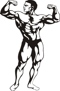 white muscle man clip art .