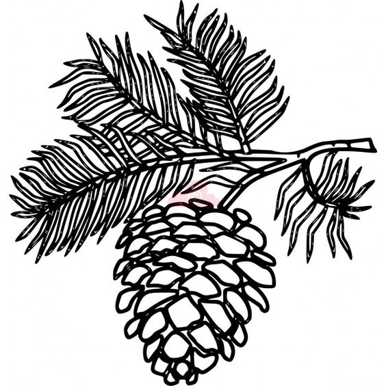 White Pine Cone Drawing Clip art pine cone clipart panda - free clipart images