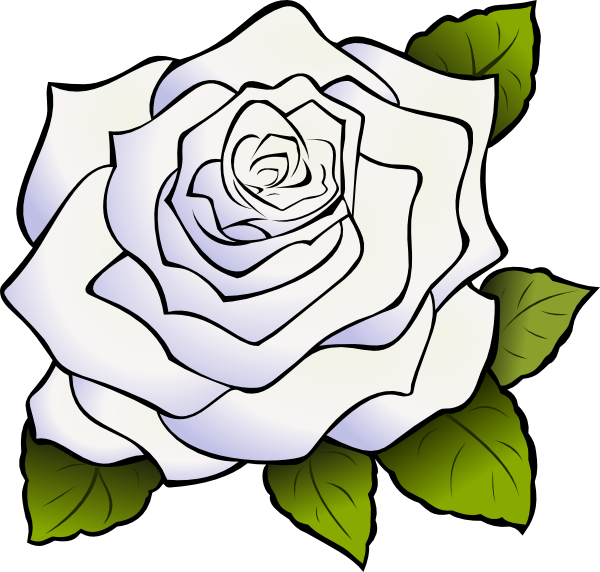 Download this image as: - White Rose Clipart