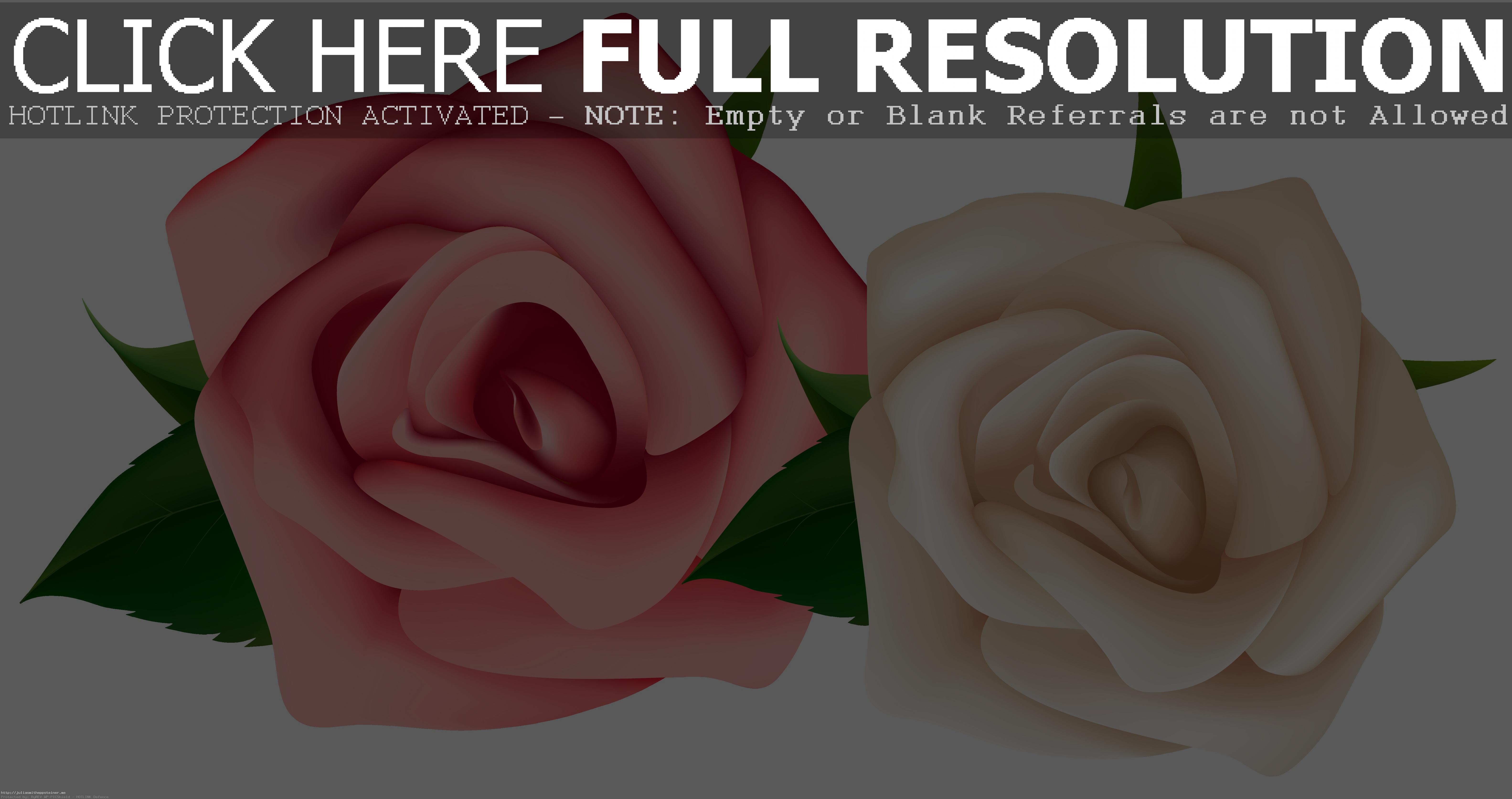 Red And White Roses Clipart P - White Rose Clipart