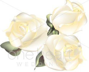 Pink Rose Clipart Image: Whit