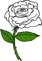 Three White Roses Clipart