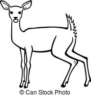 ... White Tail Deer - vector illustration an alert whitetailed.