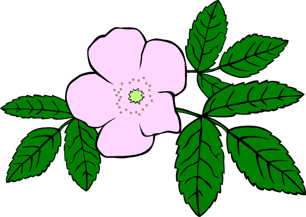 Wildflowers Clipart Flower Cl