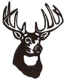 21 Whitetail Deer Skull Drawi