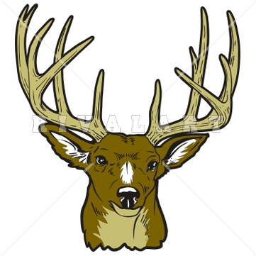 Whitetail Deer Clipart u0026middot; buck clipart