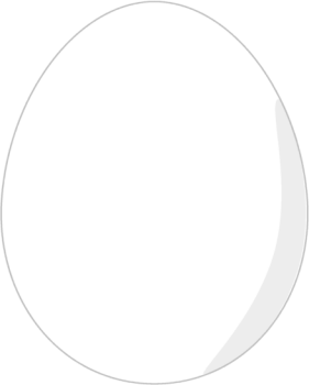 Whole Egg