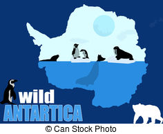 Wild Antartica poster background, vector illustration