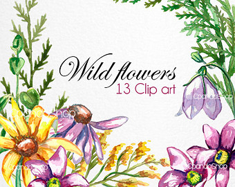White Wild Flower Clip Art At