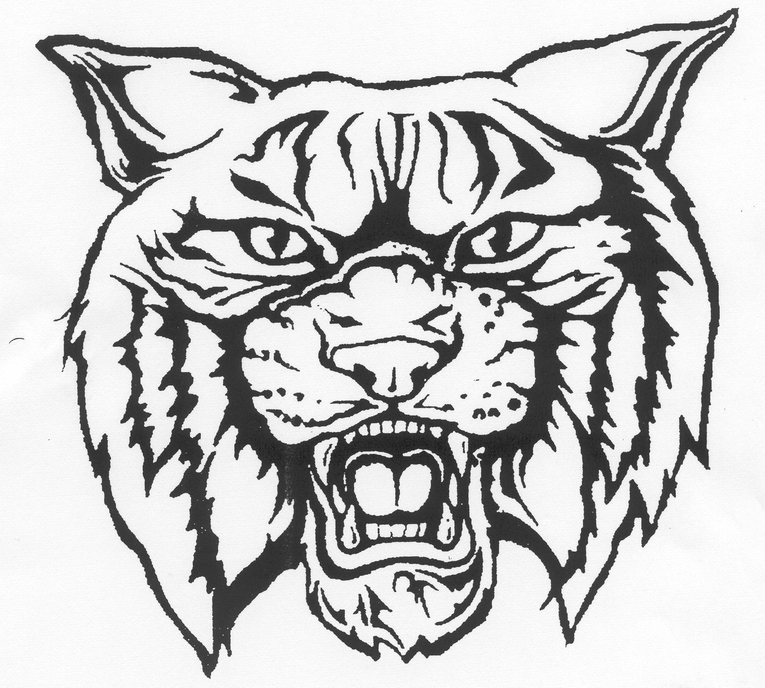 Wildcat Logo Clip Art Car Tun