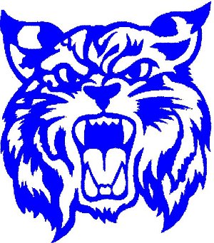 Wildcat Logo Blue Image