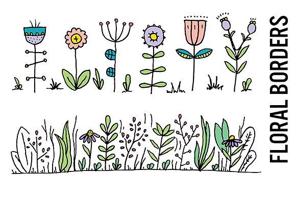 Wildflower illustrations and 