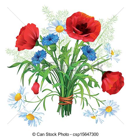 Wildflower illustrations and  - Wildflower Clipart