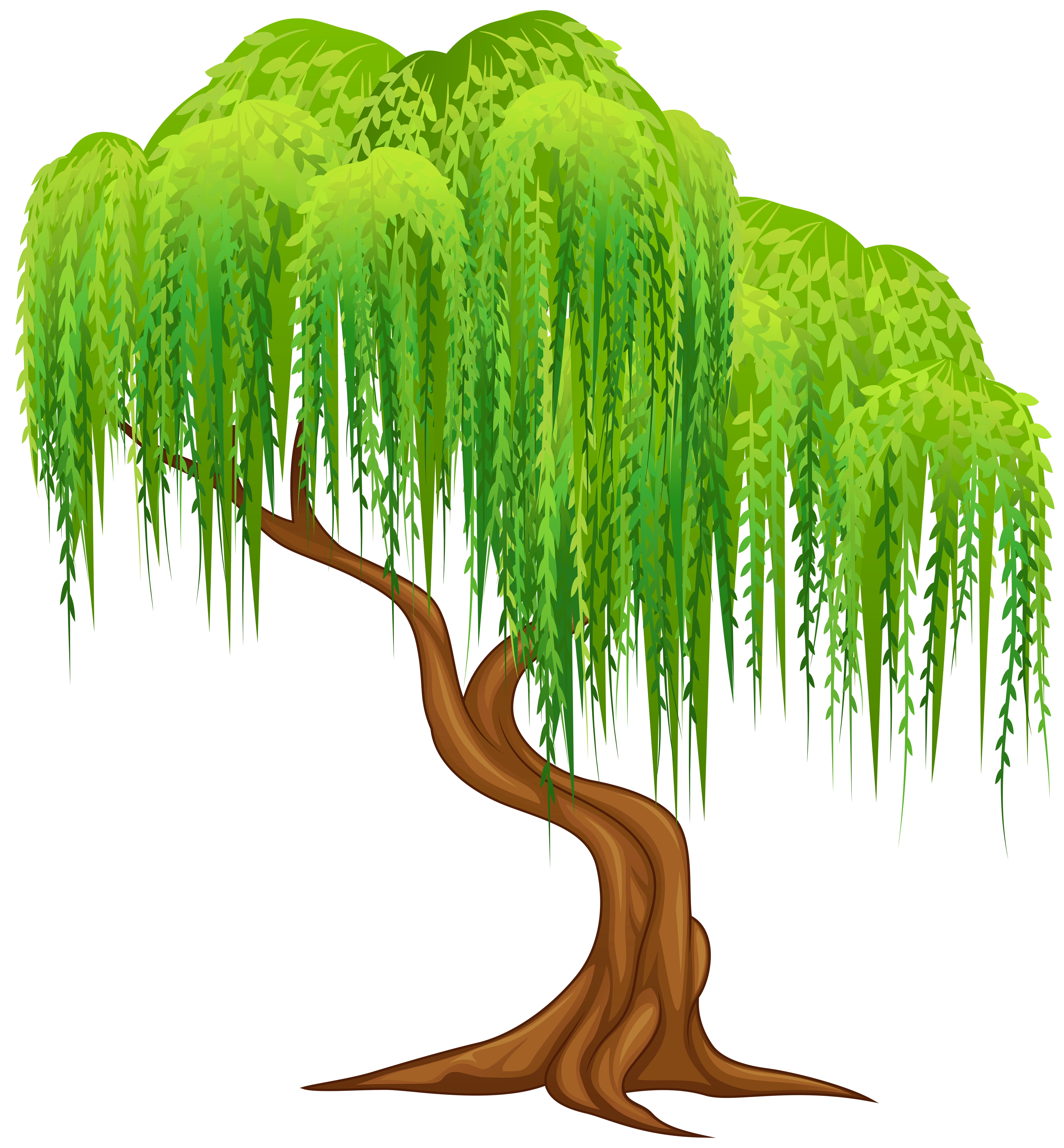 Willow Tree Clip Art