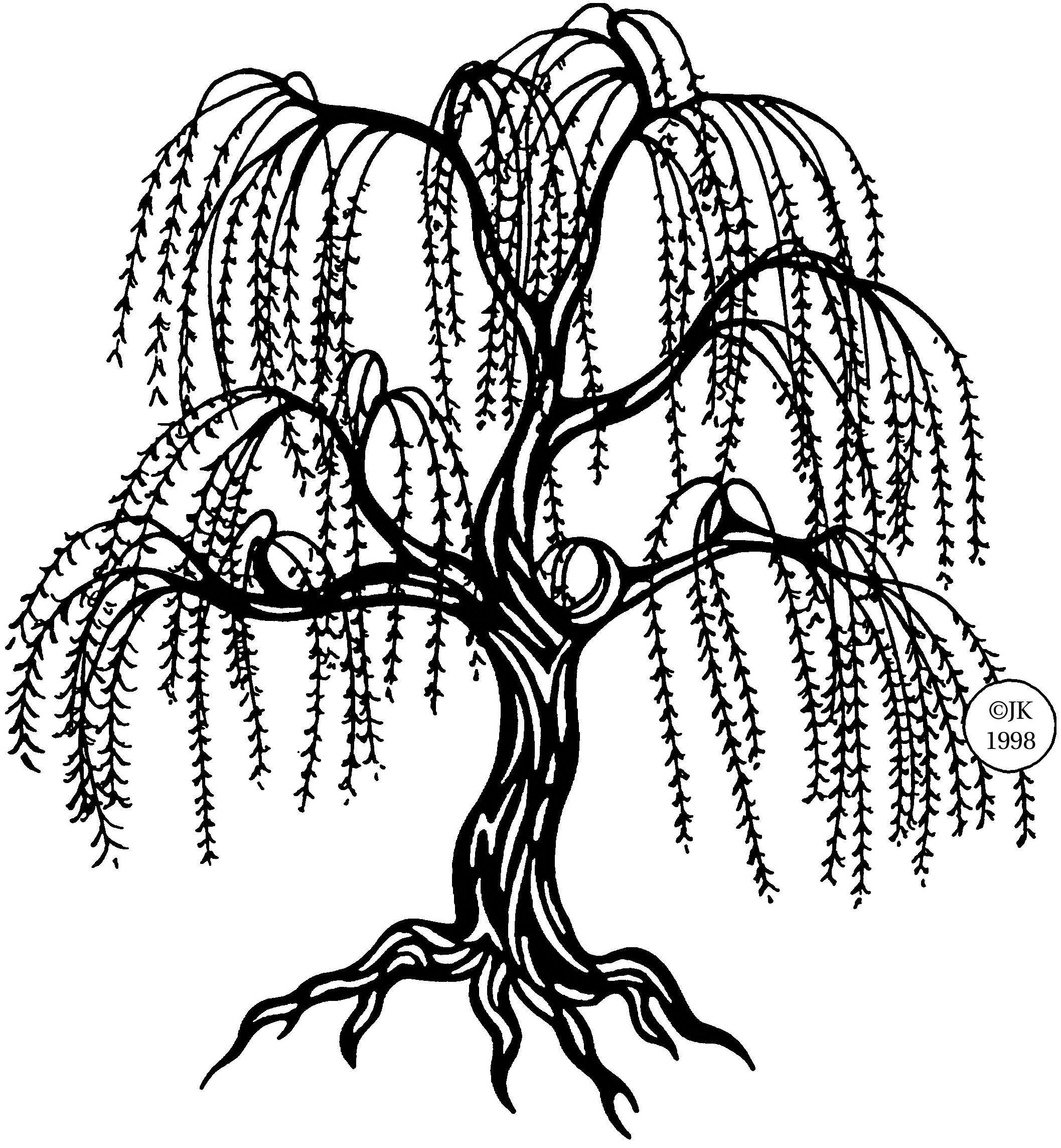 Willow Tree Vector; clipart .