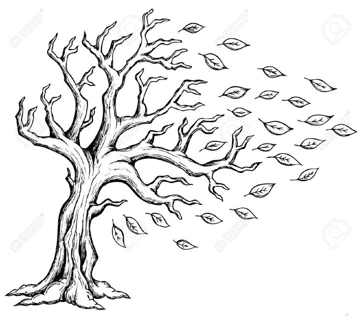 Wind Blowing Trees Drawing Tr - Wind Blowing Clipart