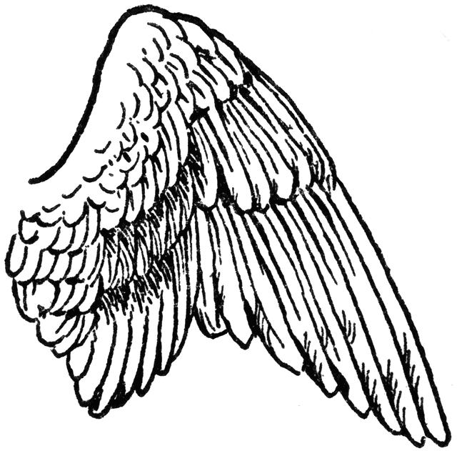 Angel wings glowing angel win
