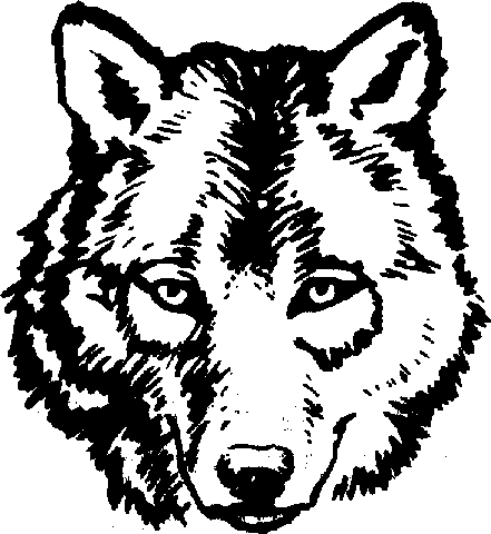 Wolf Face Wolf Clip Art