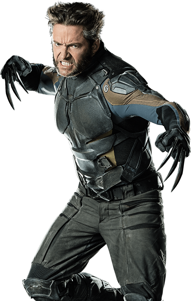 Download PNG image - Wolverine Clipart 570