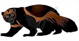 Wolverine Clipart-Clipartlook