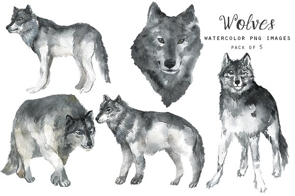Watercolor wolf clipart - Illustrations