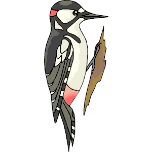 Pecking Woodpecker svg