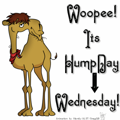 Woopee Itu0026#39;s Hump Day Wednesday Camel Animated Picture