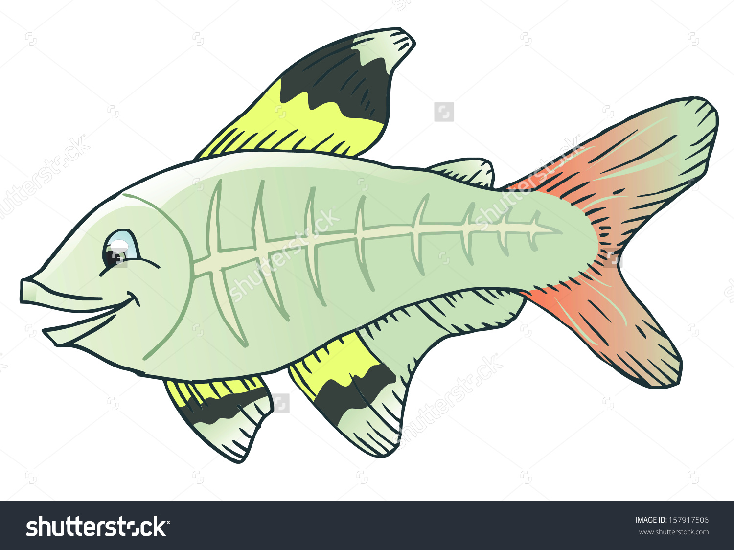 X-ray tetra cartoon fish. Save to a lightbox