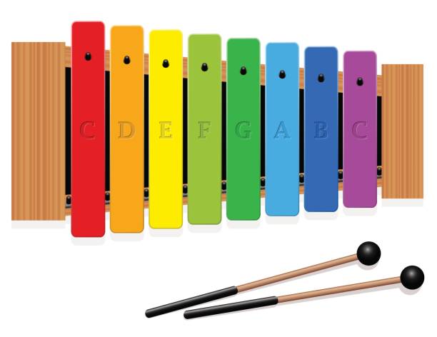 Glockenspiel or metallophone in c major with eight labeled bars, one  octave, in different