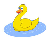 yellow duck in pond water. Si - Clipart Duck
