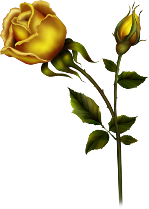 Yellow Rose with Bud PNG Clipart