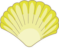 yellow sea shell clipart. Size: 64 Kb