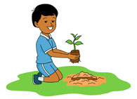 young_girl_planting_seeds_in_ - Planting Clipart