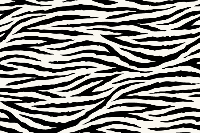 Zebra. Animal Print Backgroun - Zebra Print Clipart