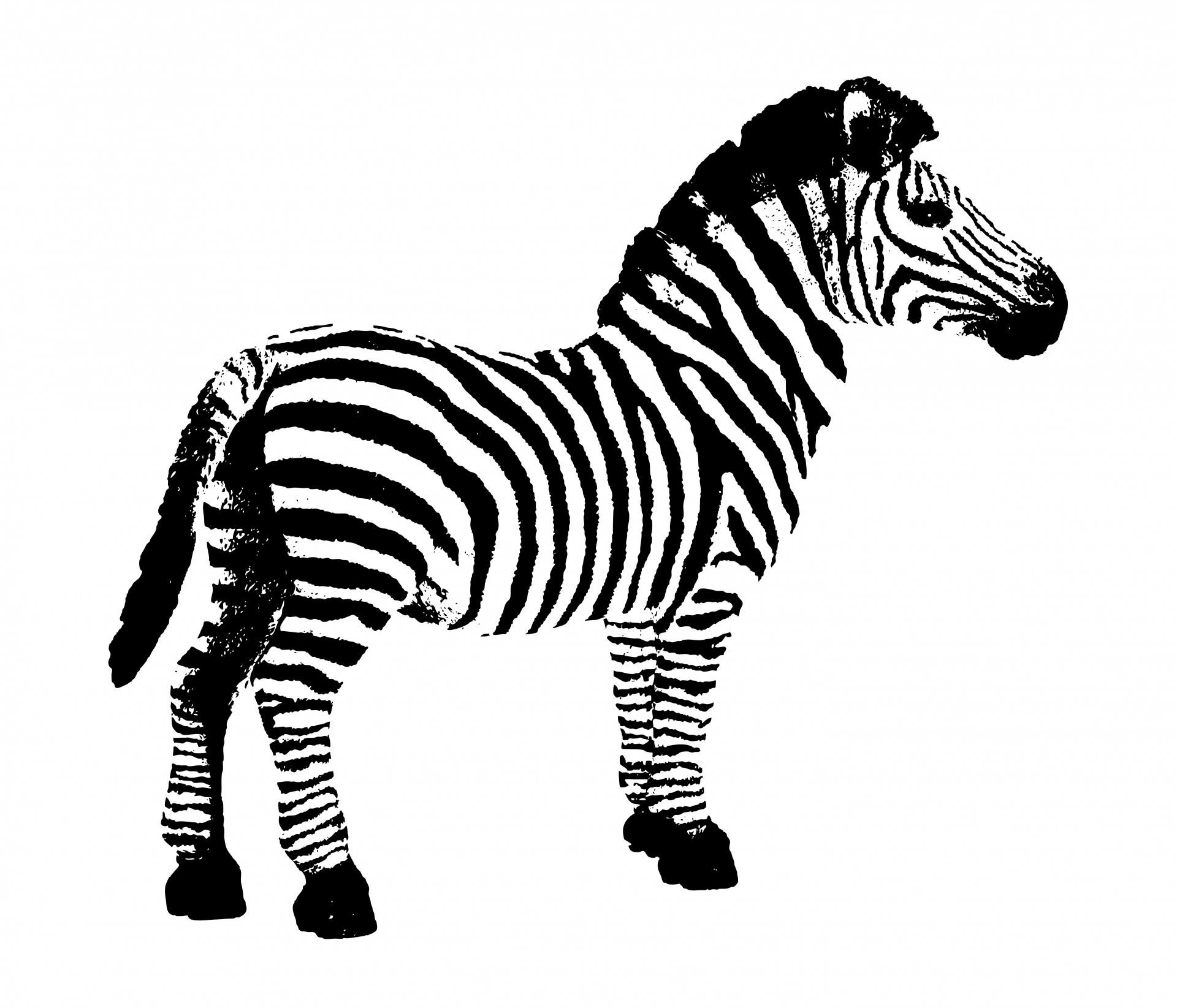 Zebra clip art free - Clipart - Clip Art Zebra