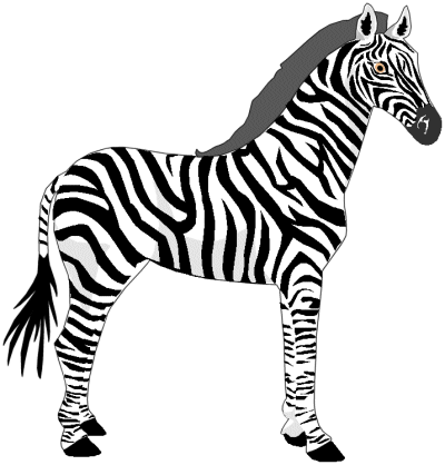 Zebra clipart Zebra animals c - Zebra Clip Art