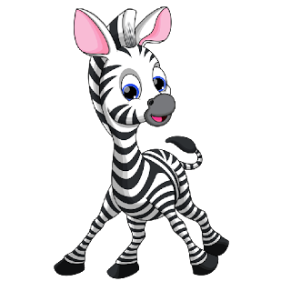 Cute Baby Zebra Standing by P