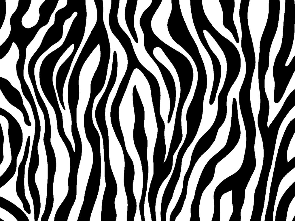 Zebra print -hand drawn black