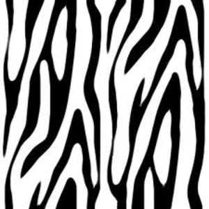 Zebra Print Image . - Zebra Print Clipart