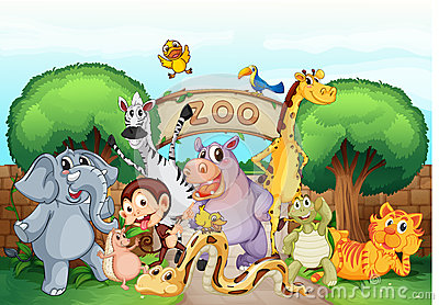 ... zoo and animals - illustr