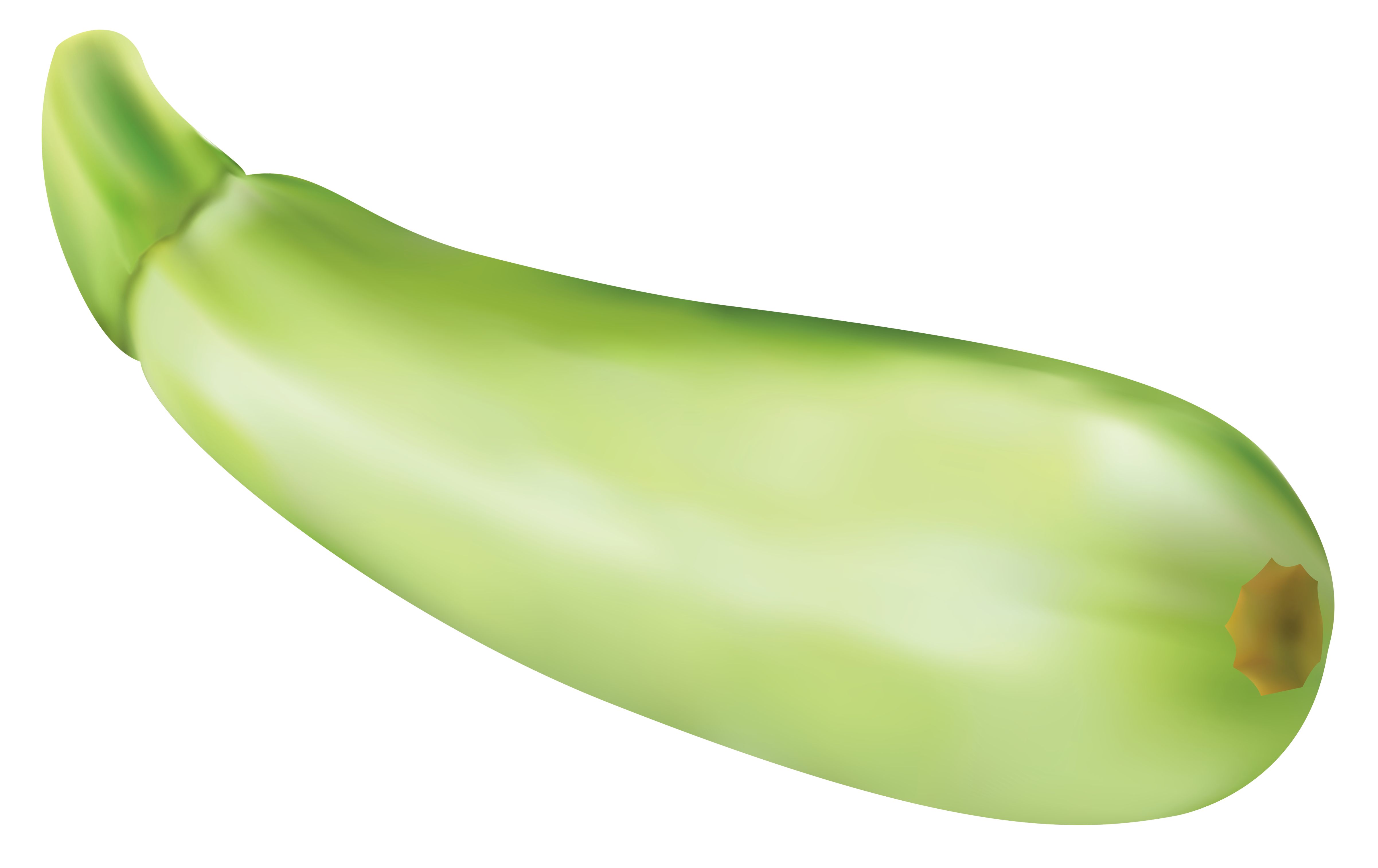 Zucchini clipart clipartall