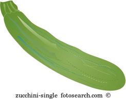 Zucchini Single