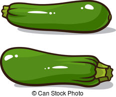 ... Zucchini - Vector illustration of zucchinis isolated on a.